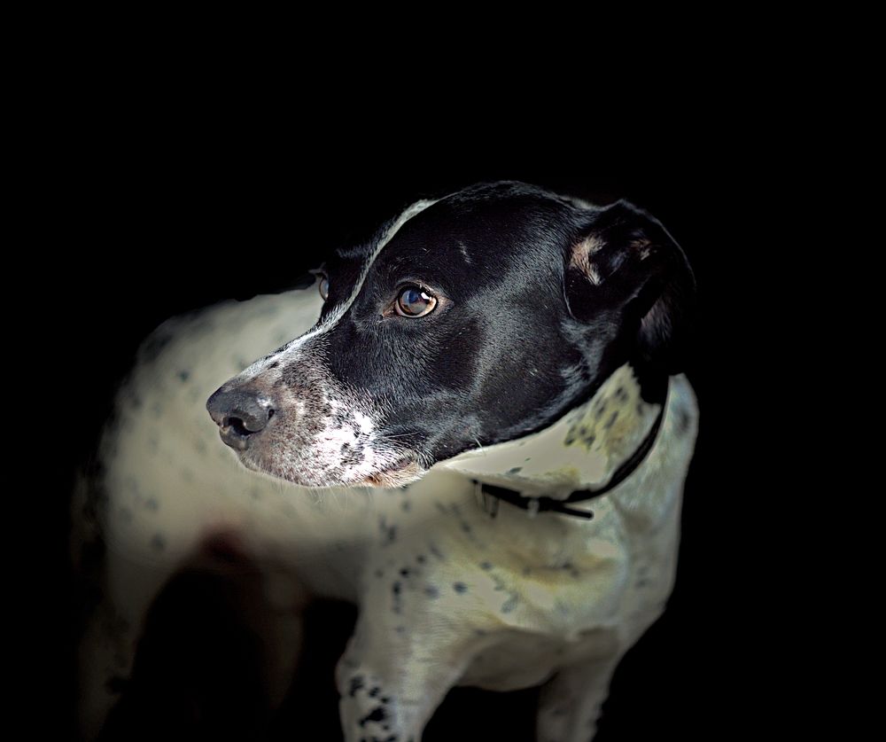 Photograph by Николай Круглов