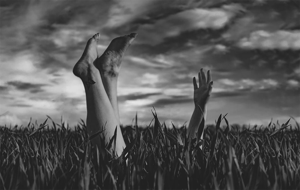 Photograph by Ирина Рехло