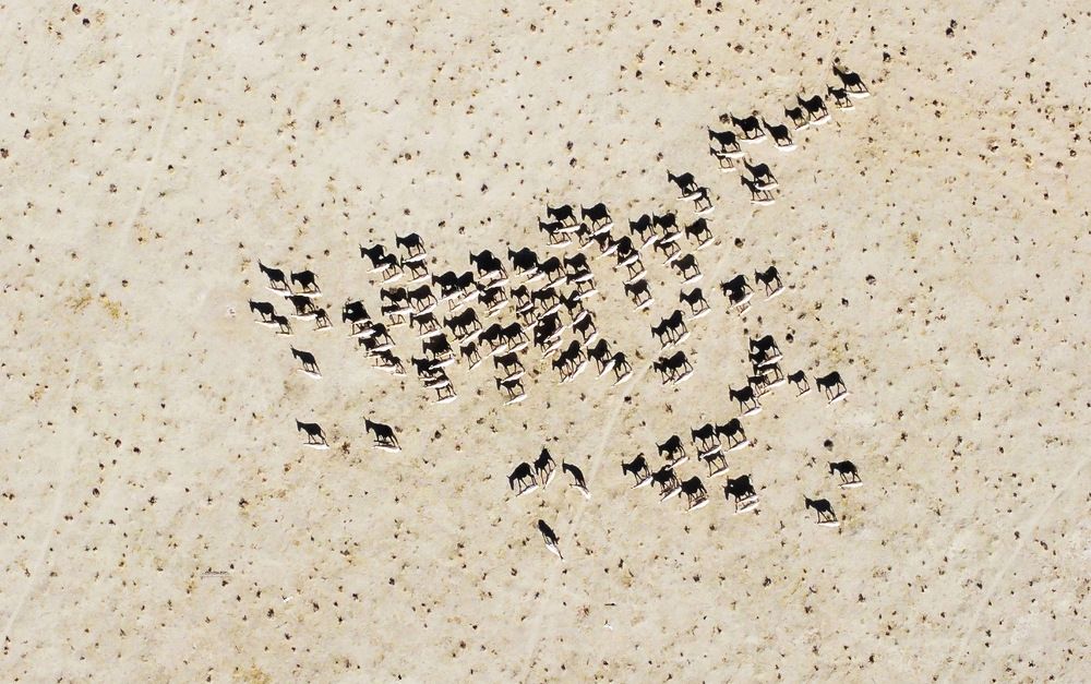 Photograph by Mahnaz Mohsenzadeh Kermani