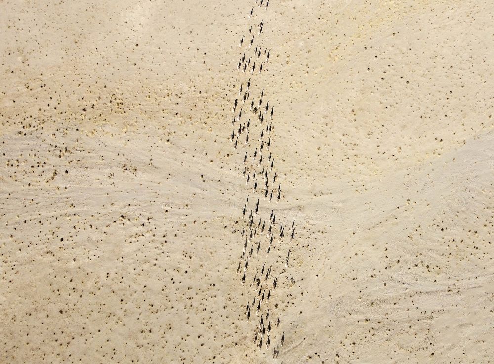 Photograph by Mahnaz Mohsenzadeh Kermani