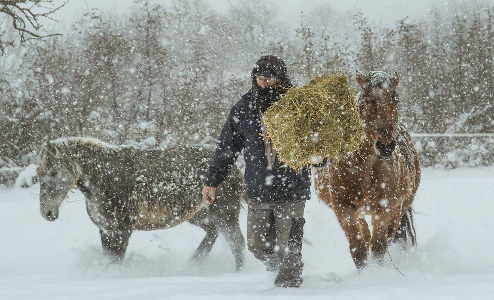 Photograph by Dimitris Vavliaras