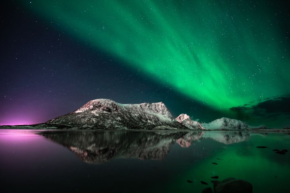 Photograph by Nerijus Siusa