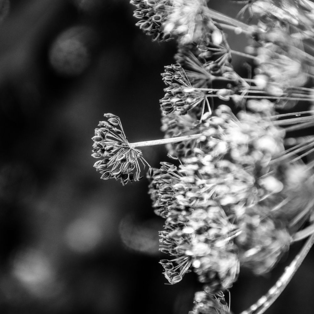 Фотография автора Альбина Хвастунова