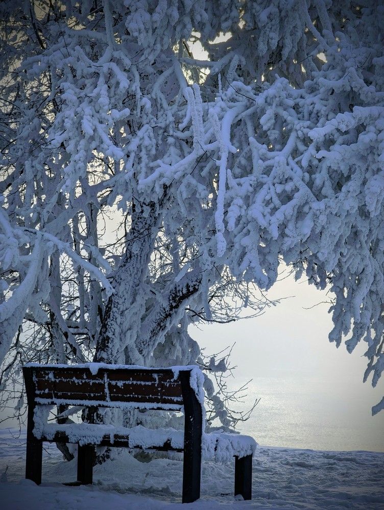 Photograph by Евгений Кузьмин
