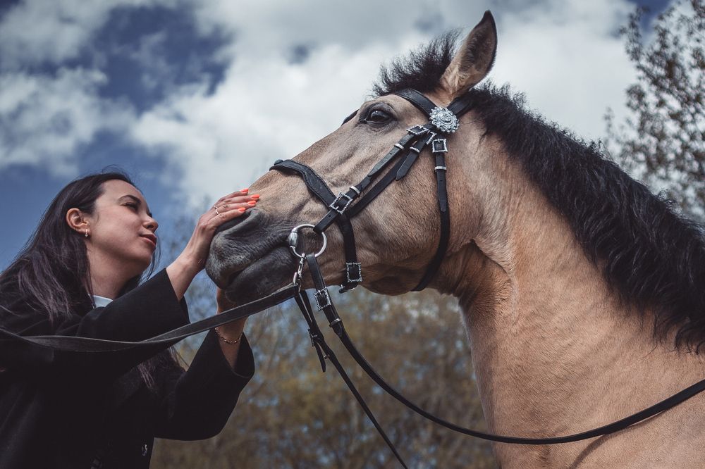 Photograph by Екатерина Долгова