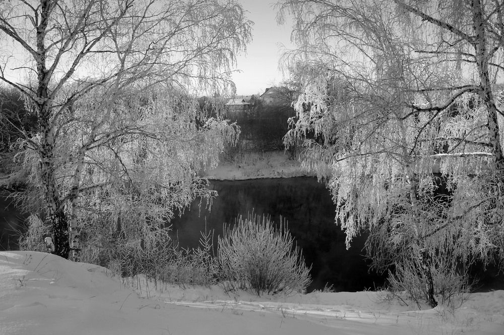 Photograph by Мишустина Татьяна