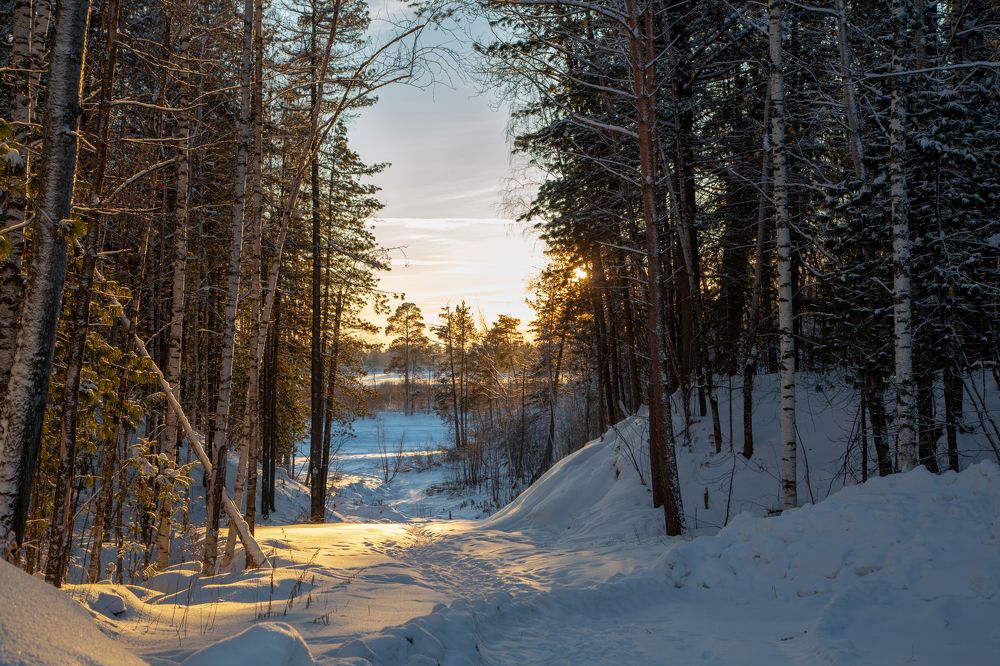 Фотография автора Елена Разина
