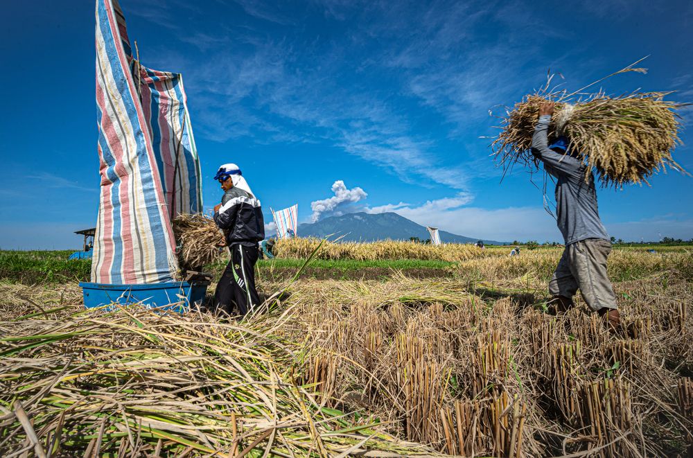 View of the Eruption of Mount Merapi and Farmer Activities