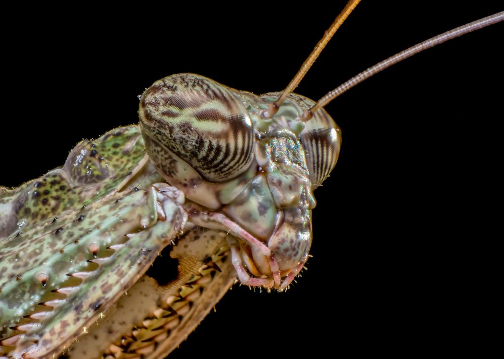 Фотография автора Kiran KV