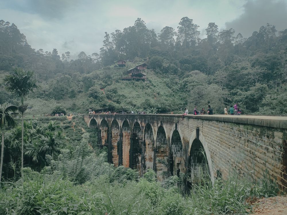 Photo #9997079