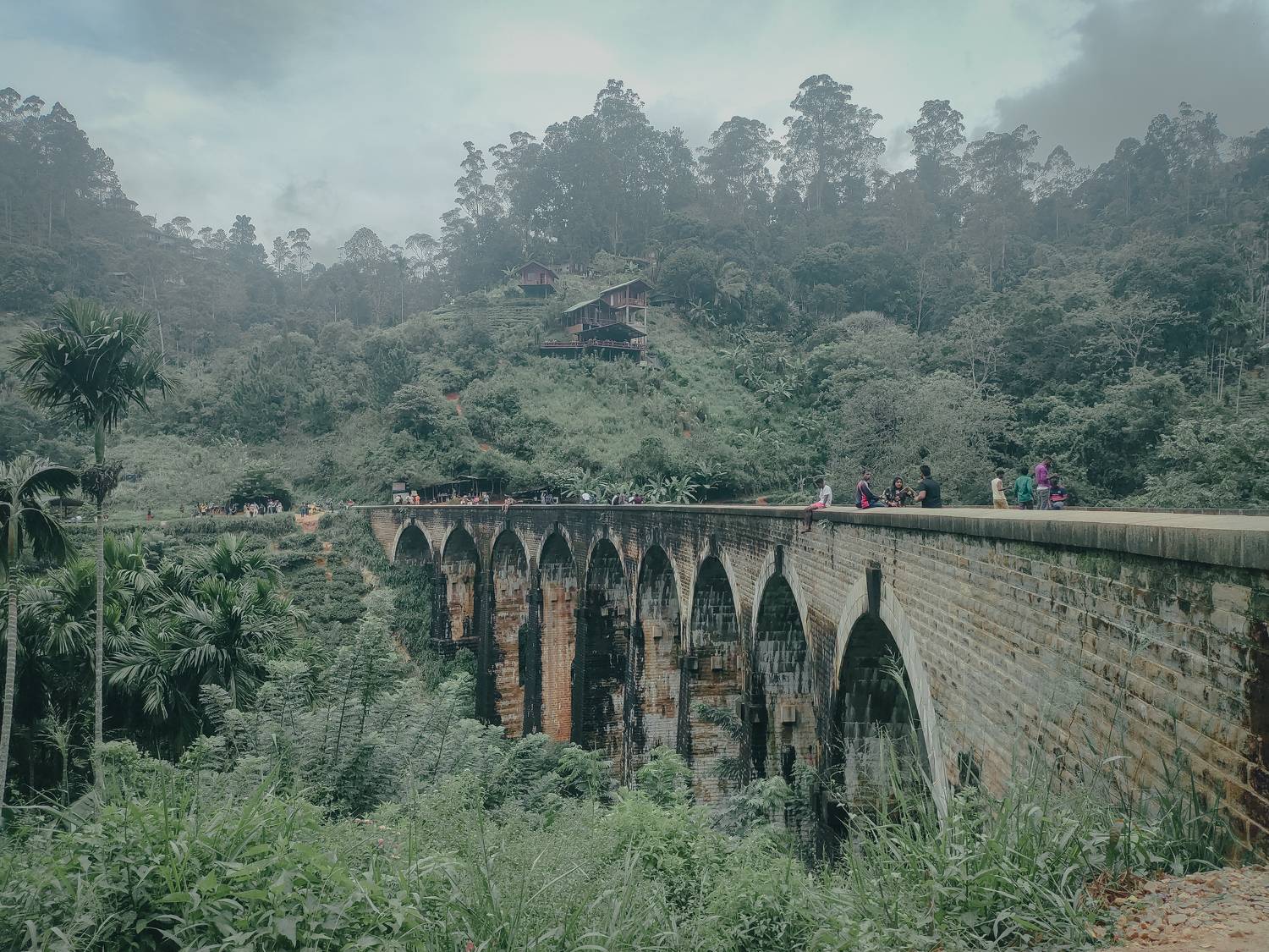 Photo #9997079