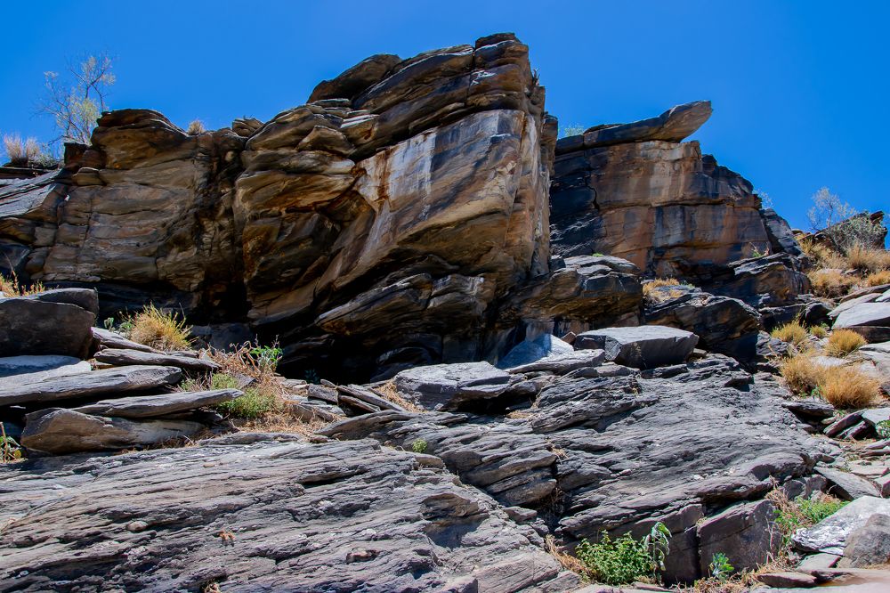 Photograph by MK COLLECTION