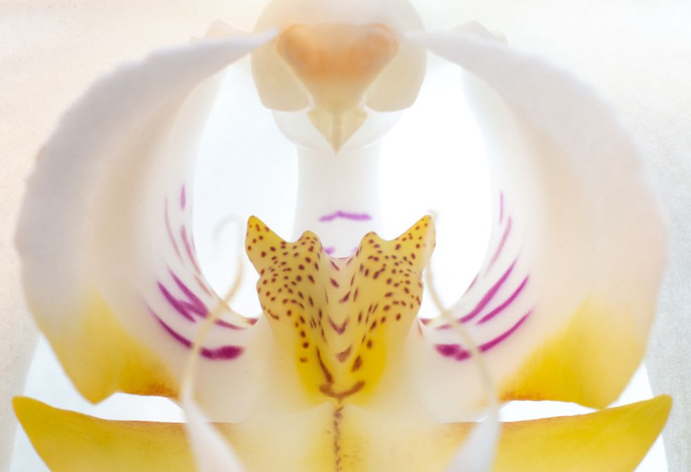 Photograph by Андрей Кульков