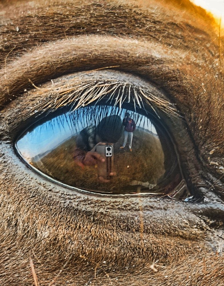 Photograph by Trishik Bose