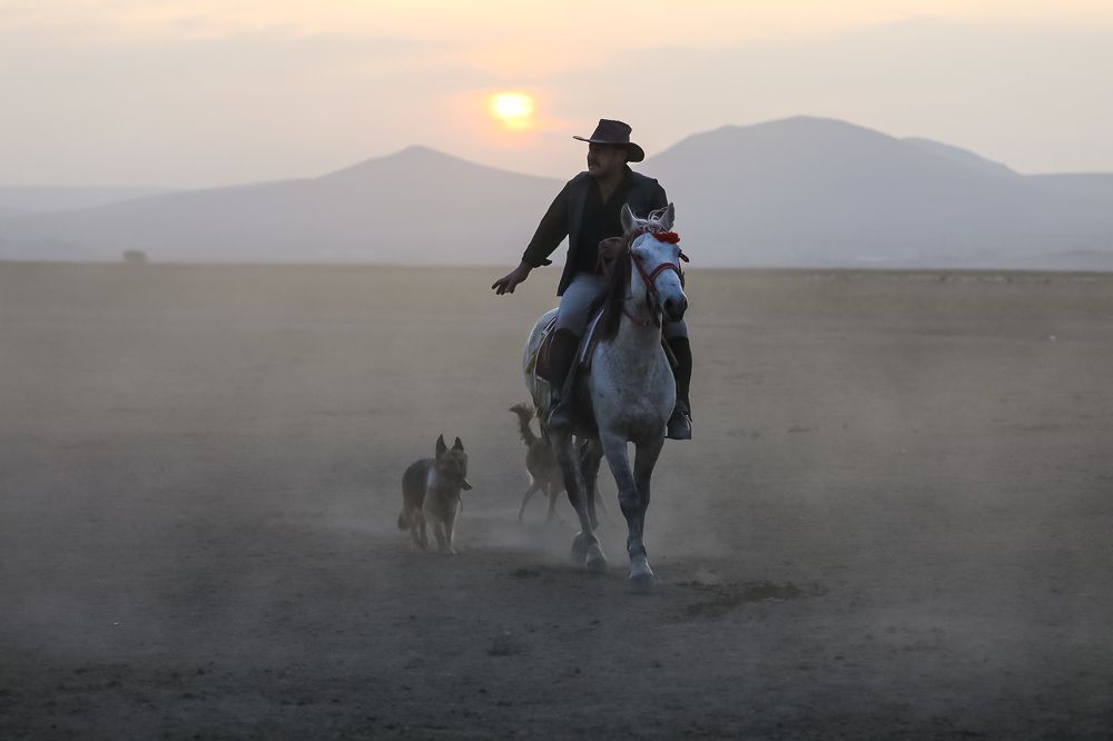 Photograph by Ольга Одаренко