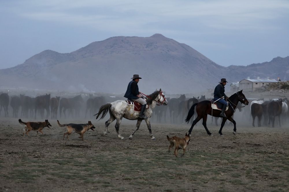 Photograph by Ольга Одаренко