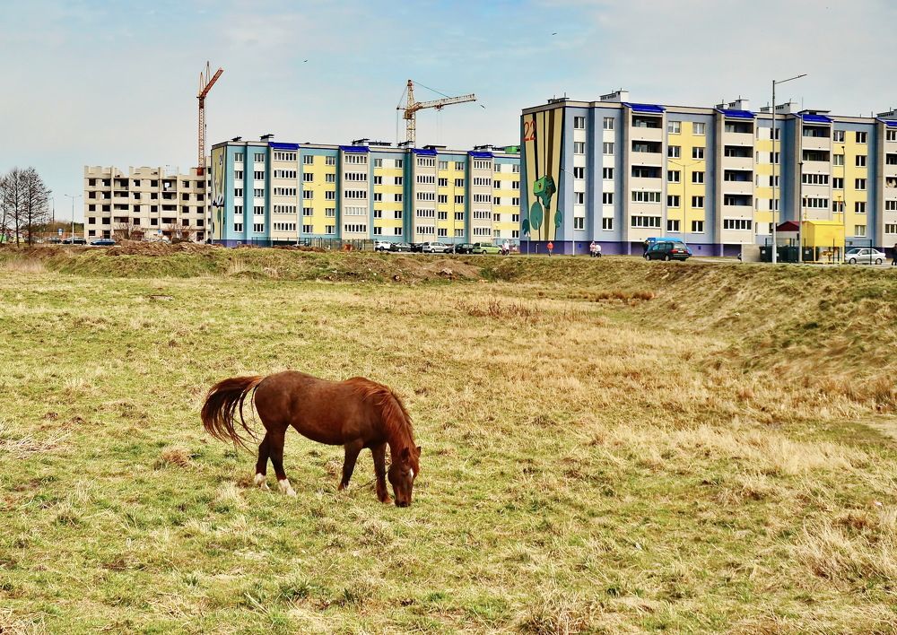Фотография автора Алексей Ганчук