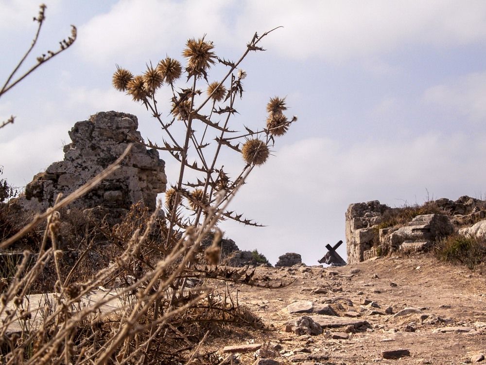 Путь на Голгофу