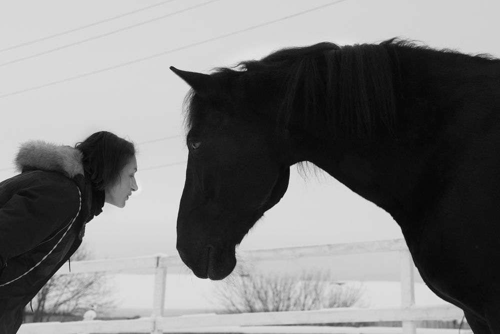 Фотография автора Наталья Белова