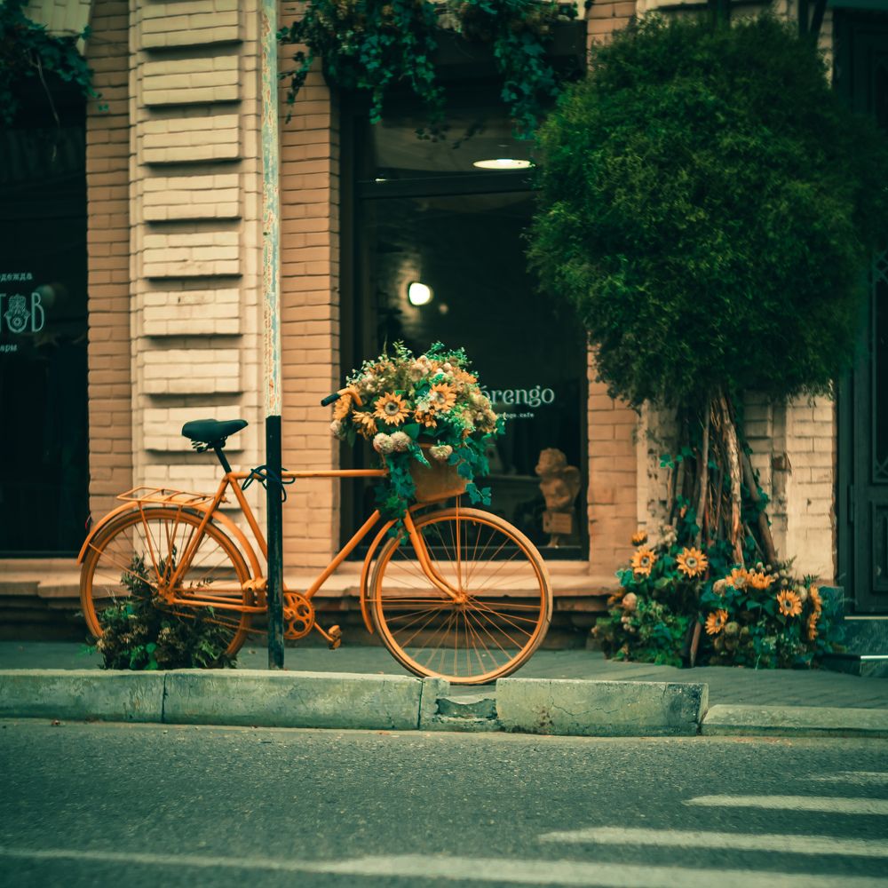 Фотография автора Дмитрий Referee