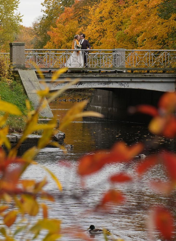 Фотография автора Наталья Белова