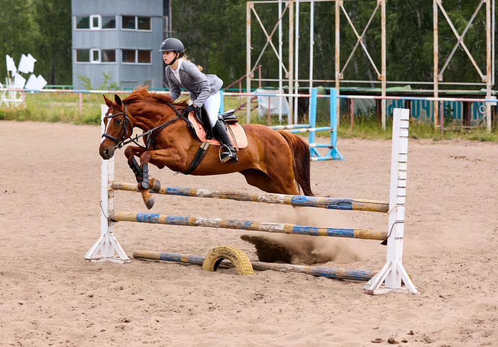 Фотография автора Наталья Новикова