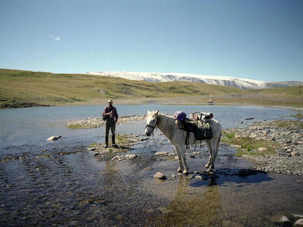 Можно отвести лошадь к воде