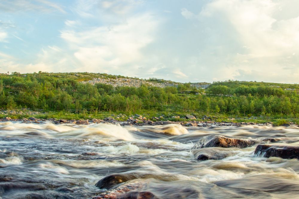 Photograph by Алина