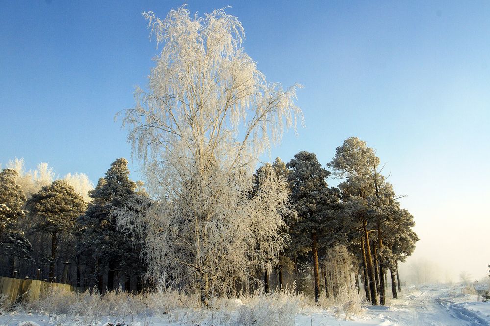 Photograph by Сергей Черных