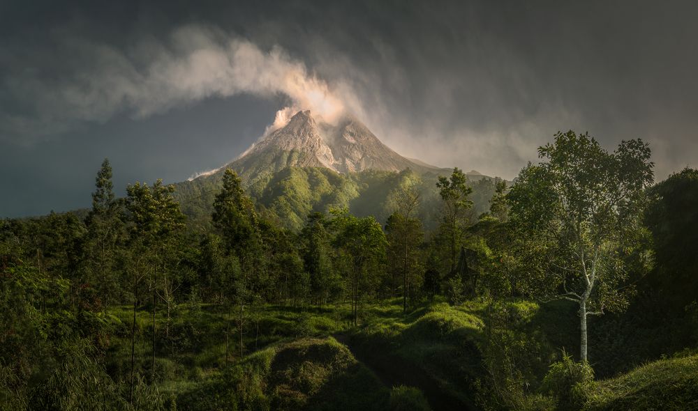 Photograph by WANG QIAN