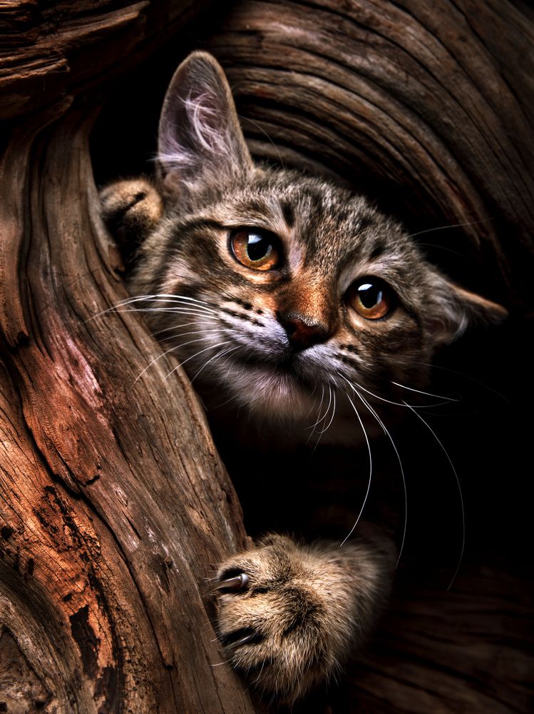 Photograph by Evgeniy Savikov