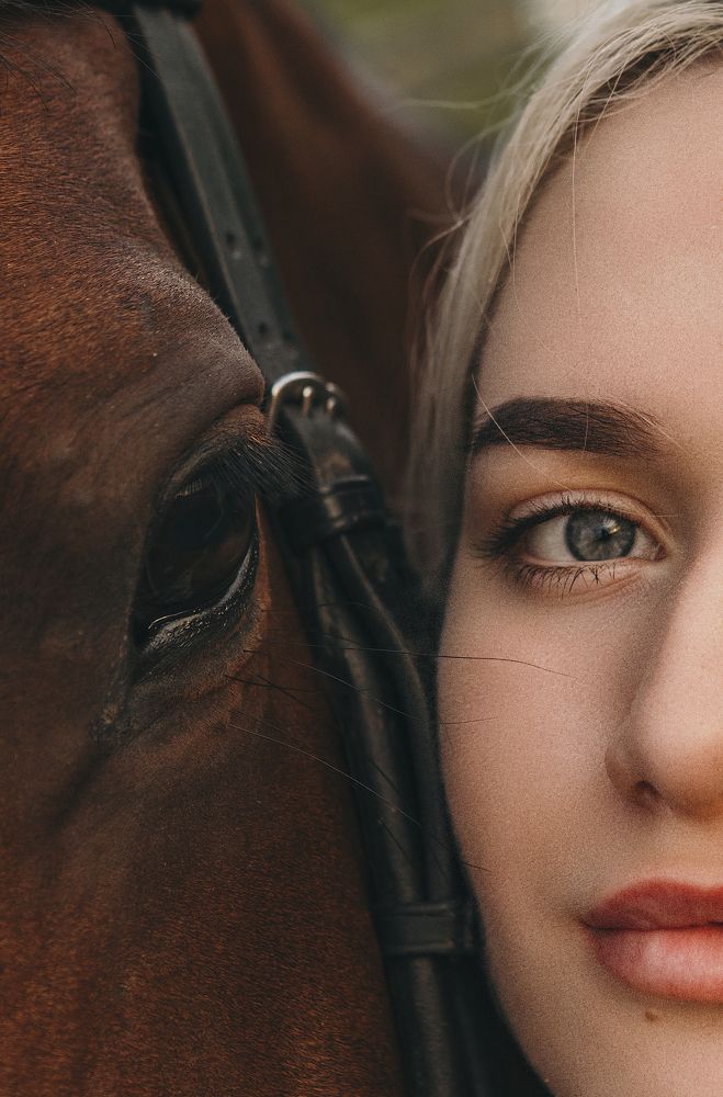 Верные друзья