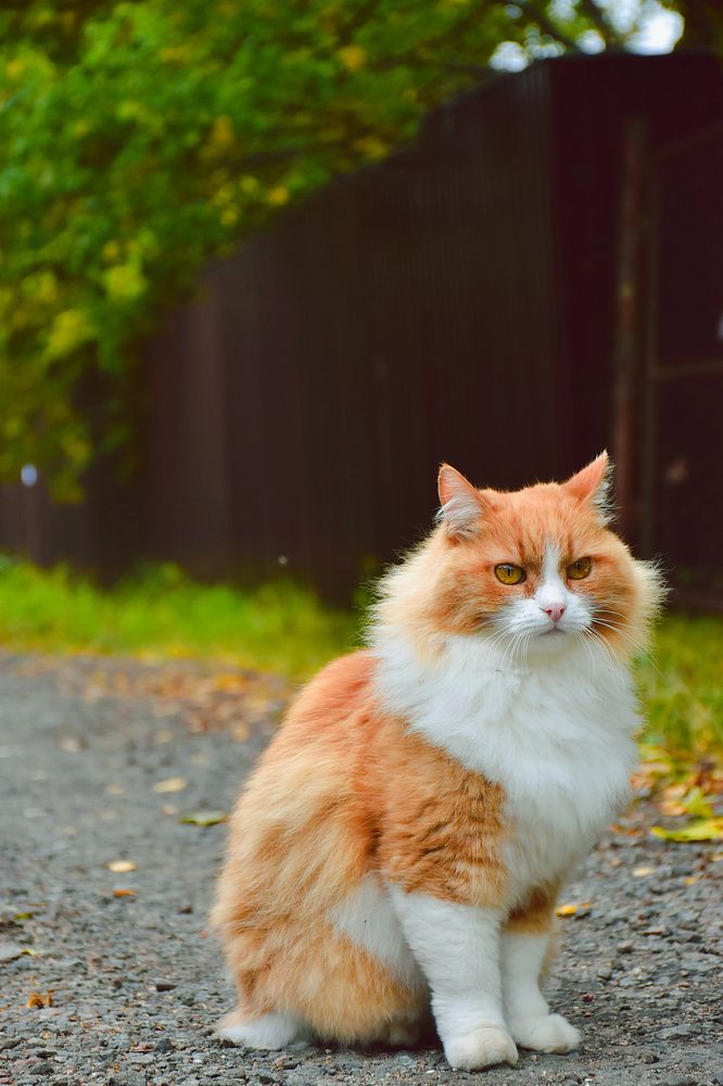 Photograph by Людмила Леонтьева