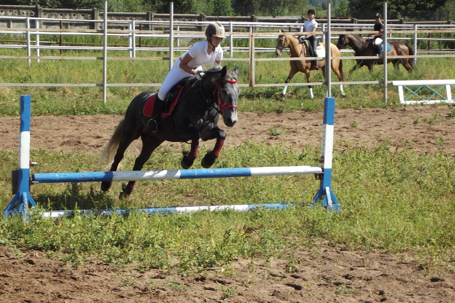 Photo #9997905