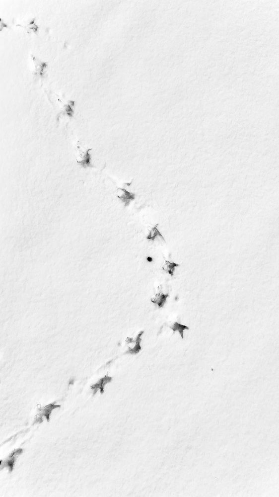 Photograph by Oxana Petlina