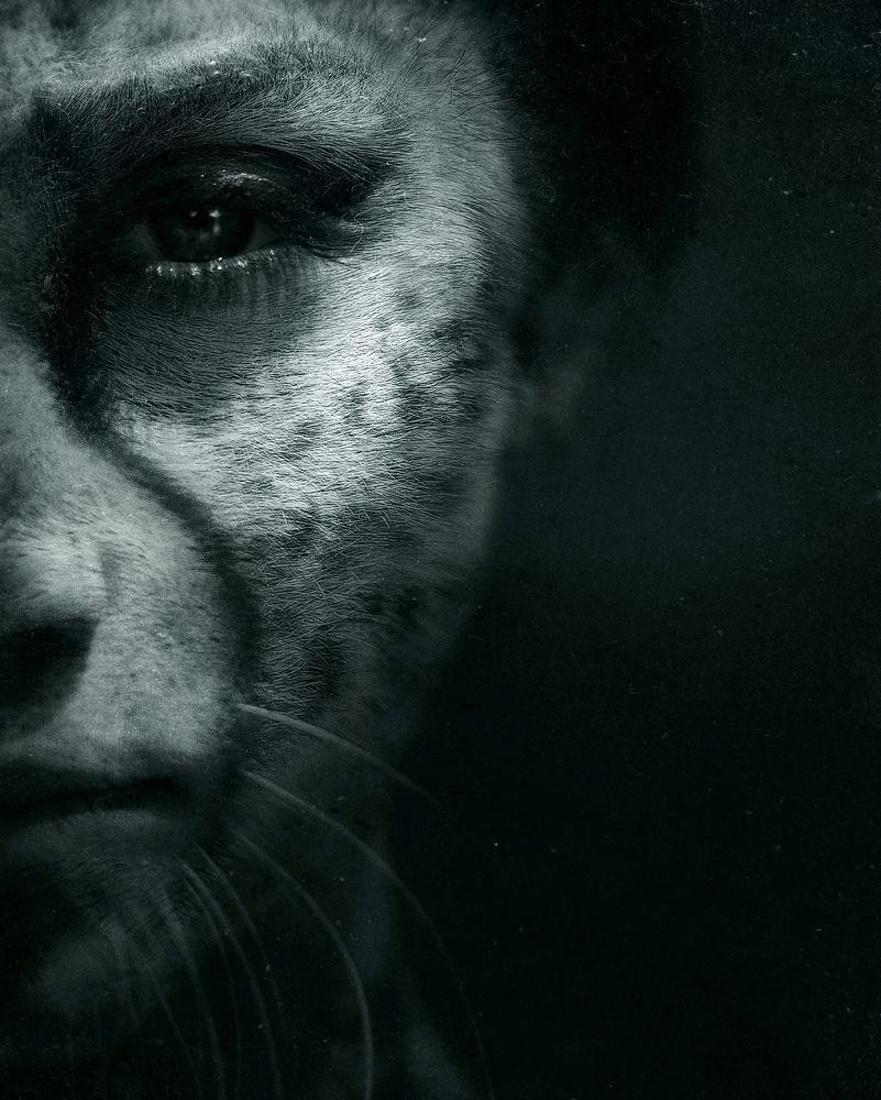 Photograph by Владислав Холодков