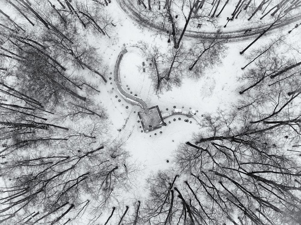 Photograph by Владислав Кравцов