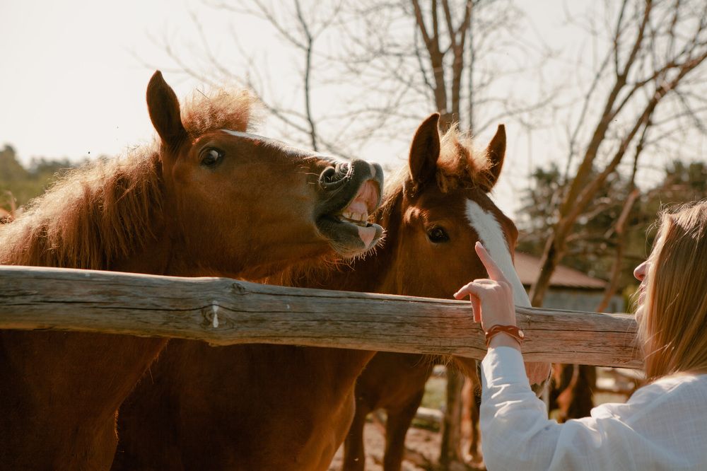 Photograph by Олег Иевлев