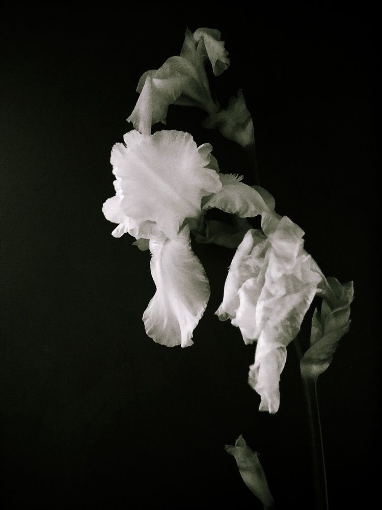 Photograph by Маннанова Ляйсан