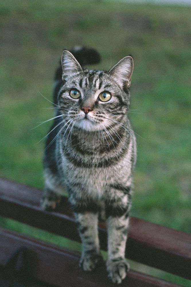 Photograph by Яна Нестерова