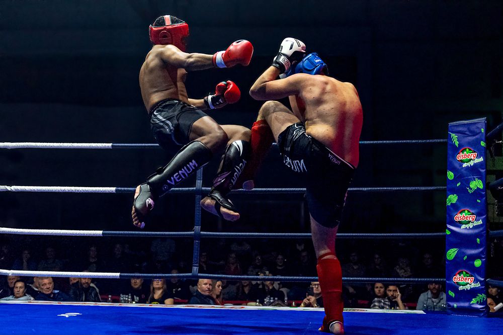 Фотография автора Faller Tamás