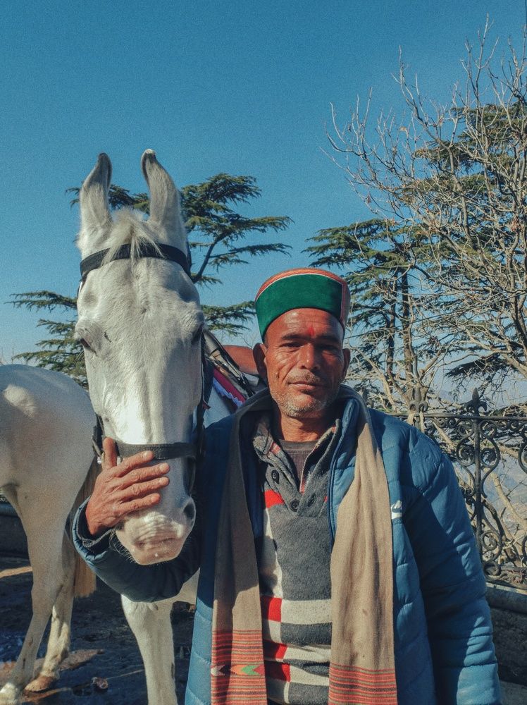 Love between animal and human