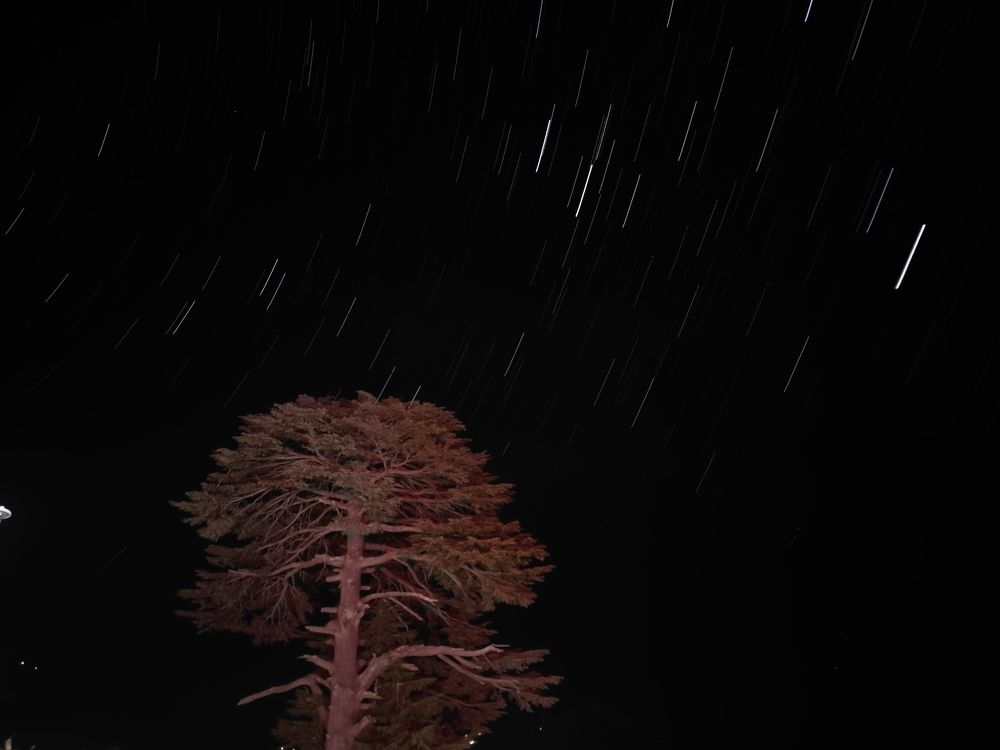 Фотография автора Joy kapadia