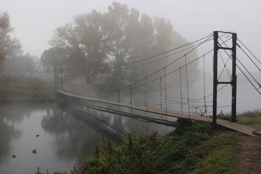 Photograph by Алина