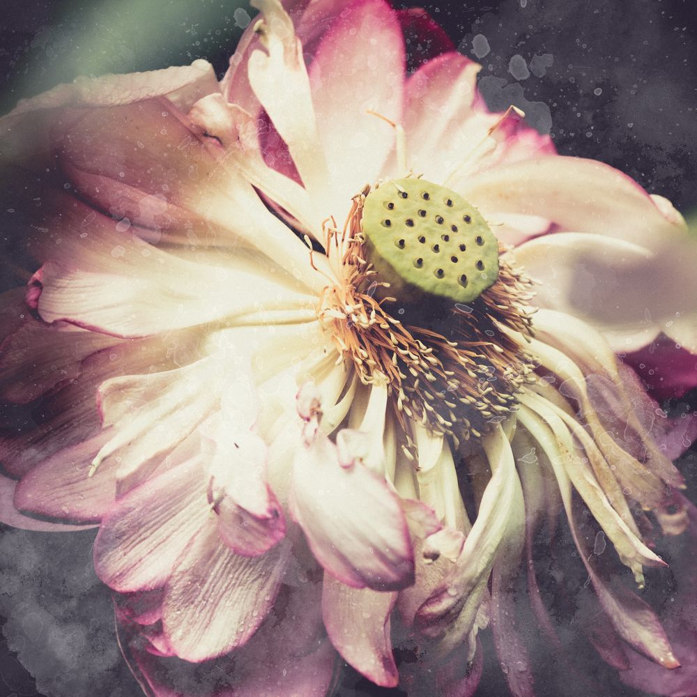 Фотография автора Fumi Taki