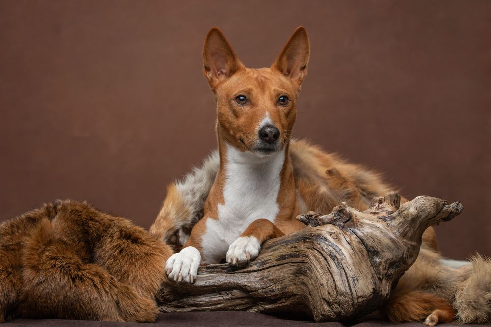 Photograph by Зубкова Юлия