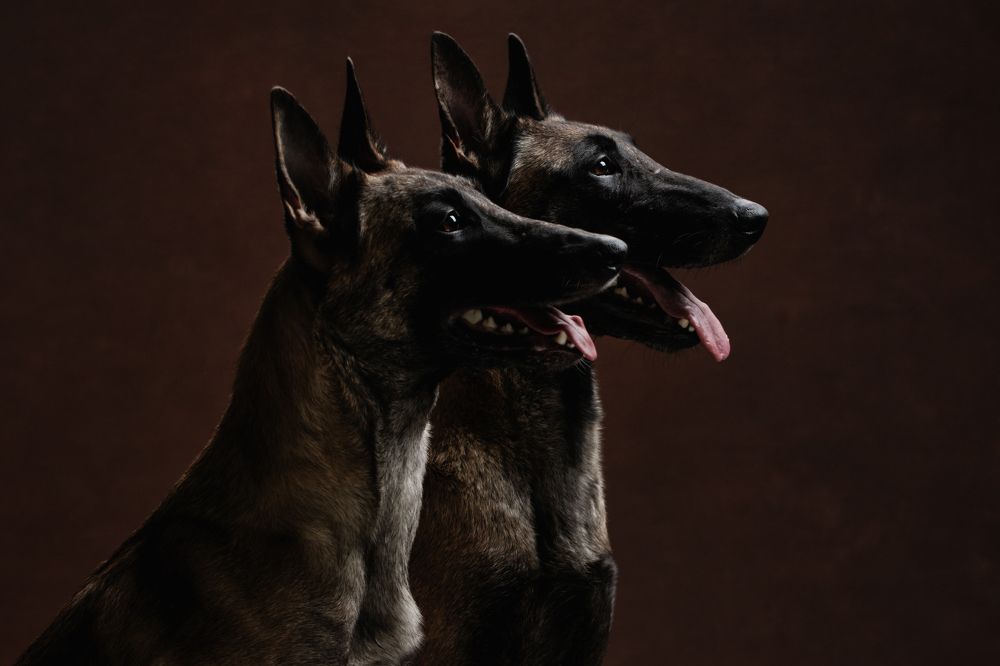 Photograph by Юлия Зубкова