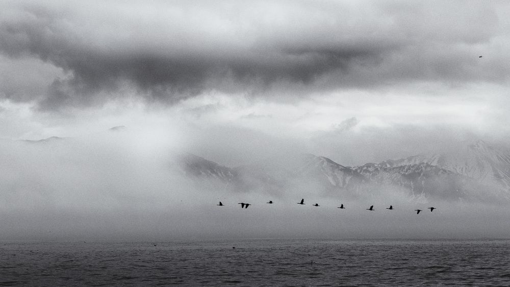 Фотография автора Alex Mimo