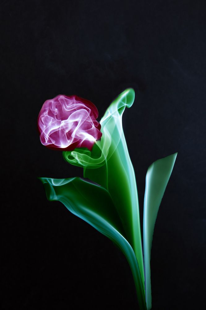 Photograph by Александр Щербаков