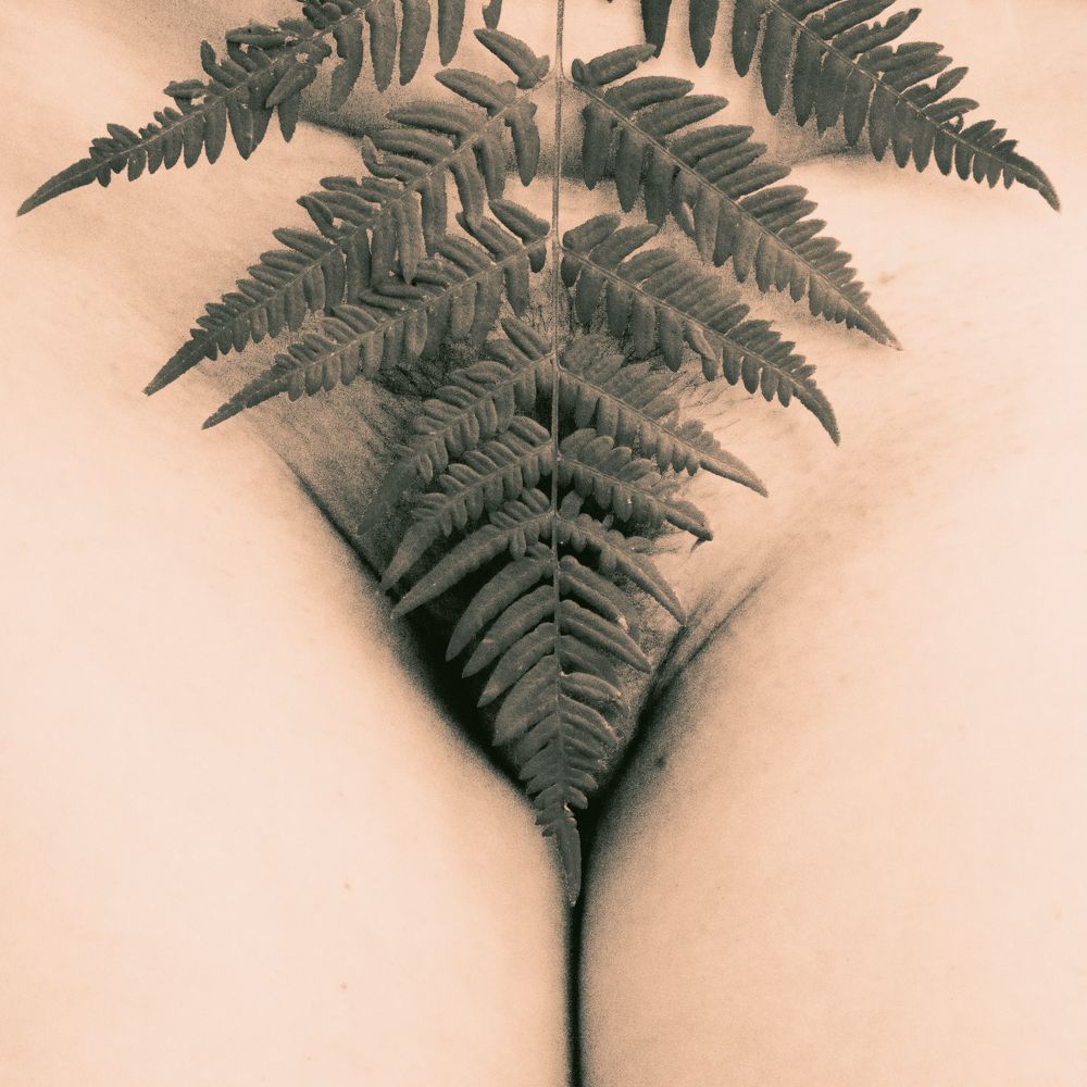 Фотография автора Устинов Владимир